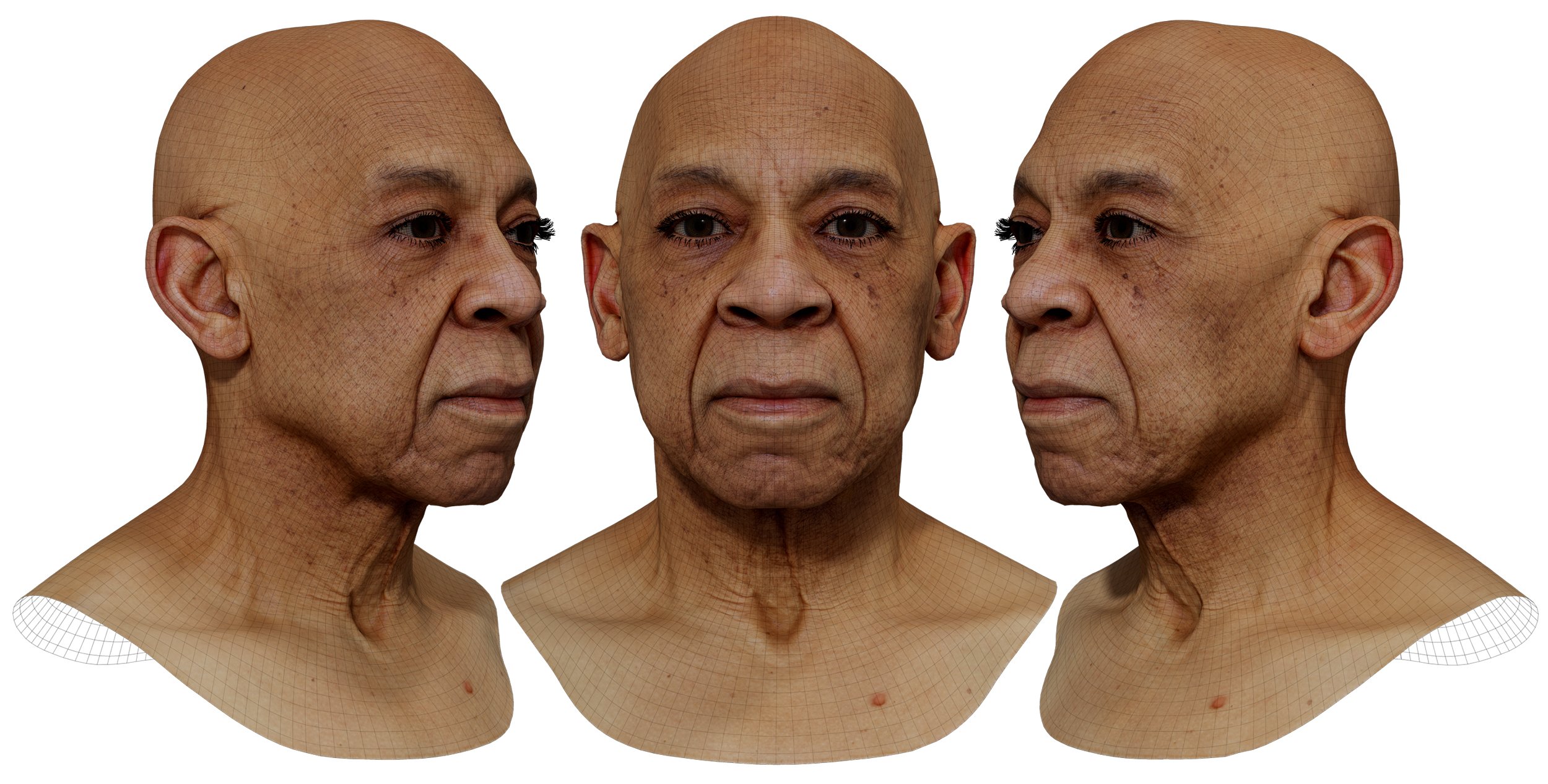 3D Head Scan model download
